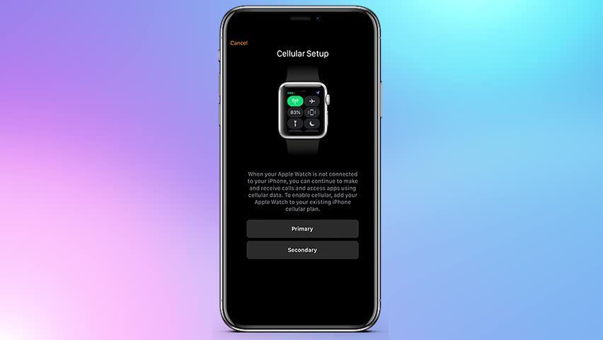 apple watch