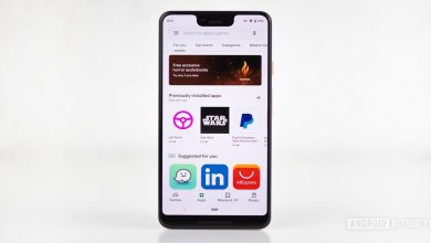 Google Play Error