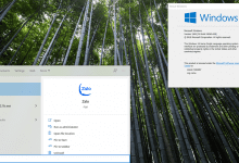 fix lỗi search trên windows 10 1909