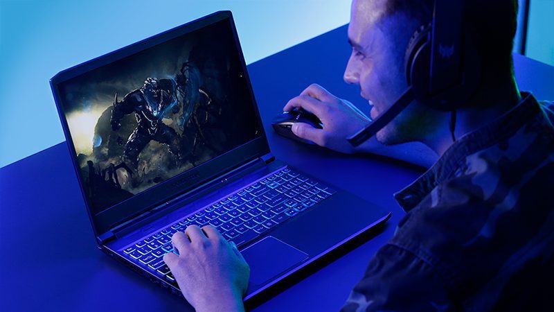 Acer predator