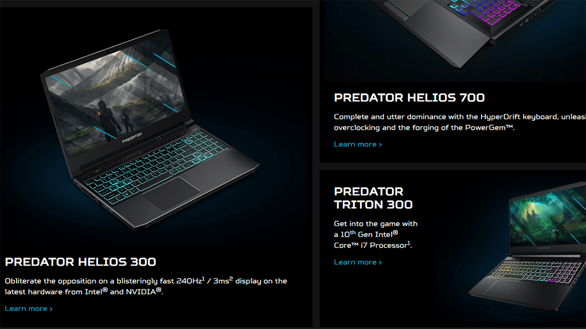 Acer predator