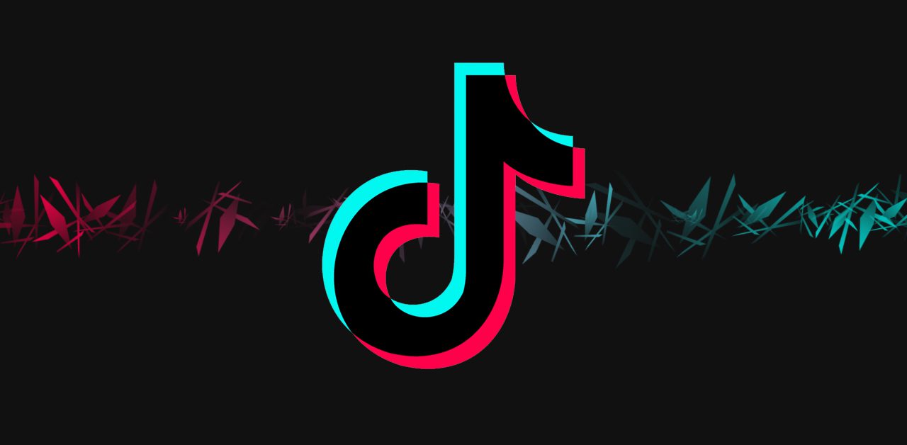 Nhóm hacker nổi tiếng thế giới Anonymous kêu gọi: "Delete Tiktok now!"