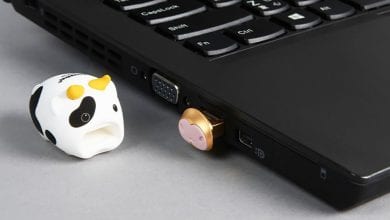 Kingston ra mắt USB Mini Cow phiên bản giới hạn 2021 tại Việt Nam
