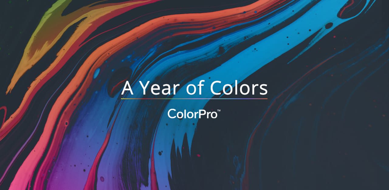 ViewSonic công bố Cuộc thi ảnh toàn cầu với chủ đề "A Year Of Colors"