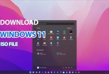 3 bước tải Windows 11, file ISO Windows 11 chính thức từ Microsoft