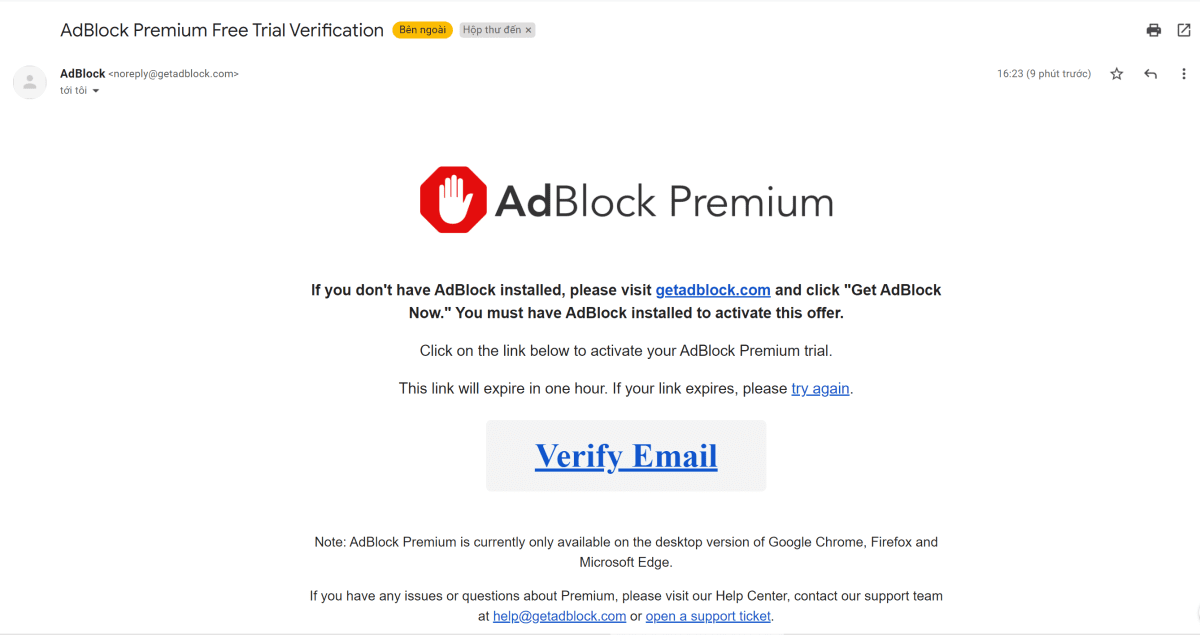 Verify Email