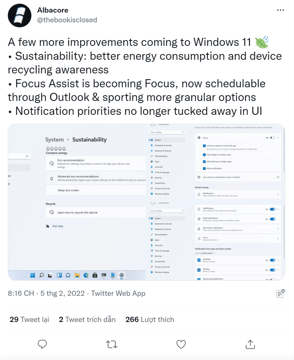 Window 11