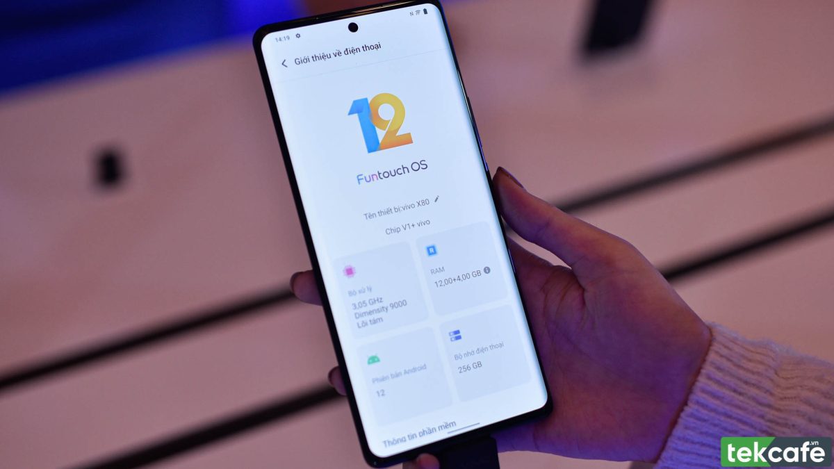 vivo X80