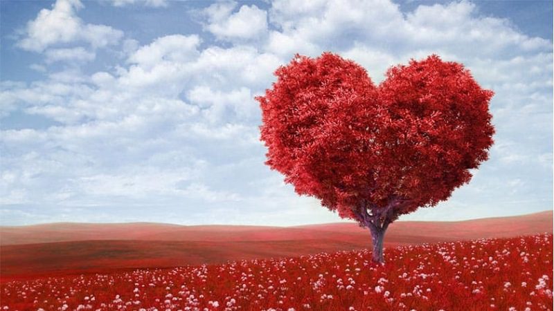 hẹn hò valentine