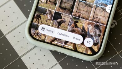 Giao diện Google Photos với thanh thao tác nổi ở cạnh dưới