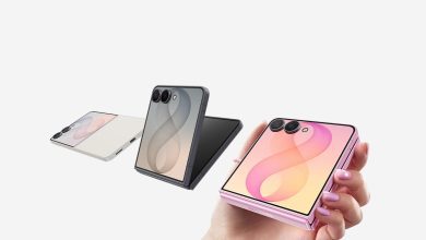 Samsung Galaxy Z Flip8 trên ảnh chính thức từ Samsung Việt Nam.