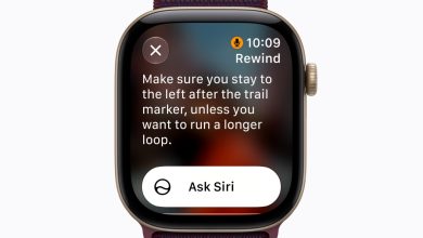 Apple Watch Series 12 trang bị tính năng Live Rewind