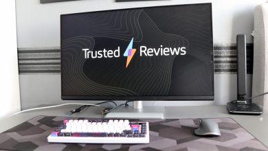Màn hình BenQ MA320U kết nối cùng MacBook trên bàn làm việc