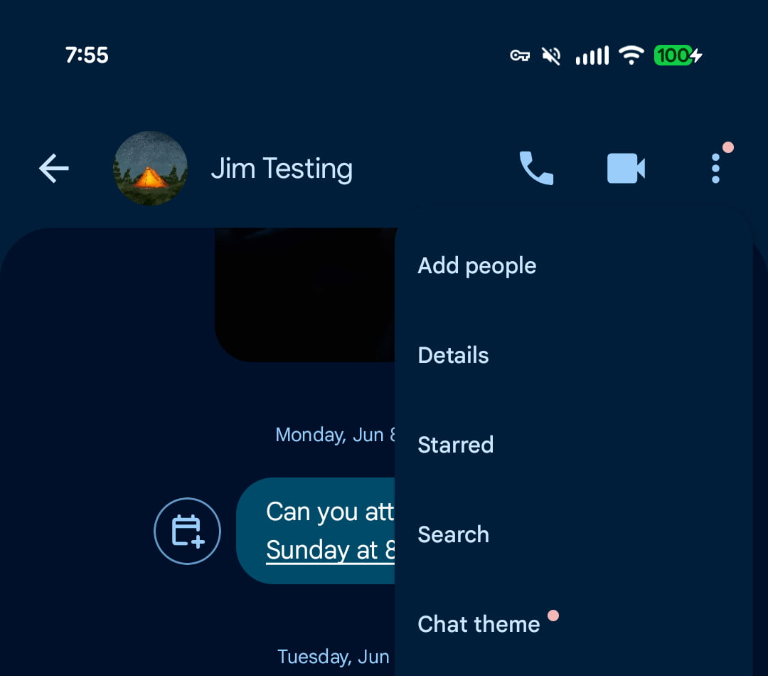 Ảnh chụp giao diện Chat theme trong Google Messages (1)