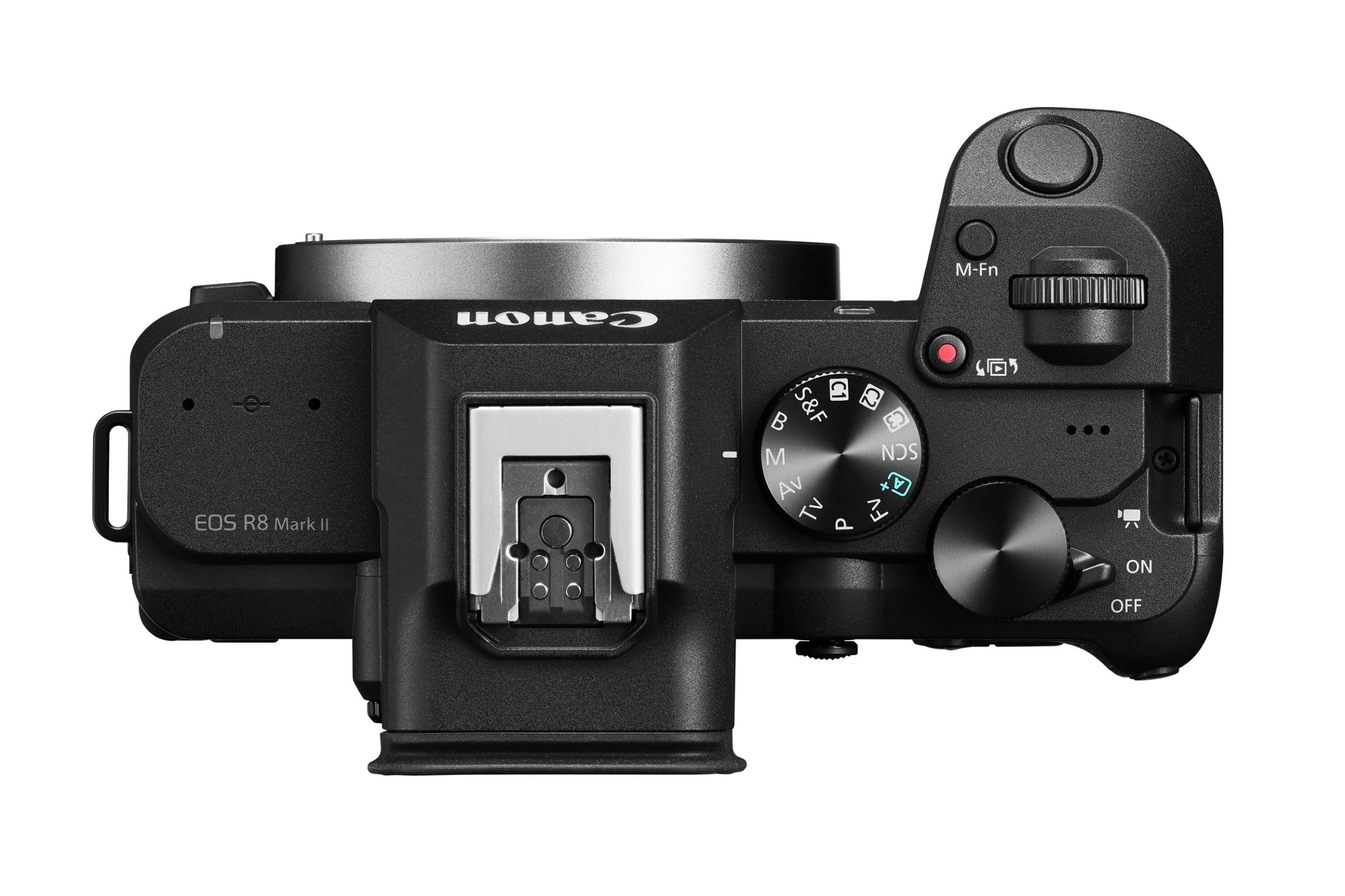 Mặt sau Canon EOS R8 Mark II với joystick AF