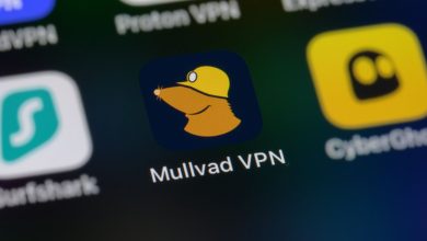 Logo và ứng dụng Mullvad VPN