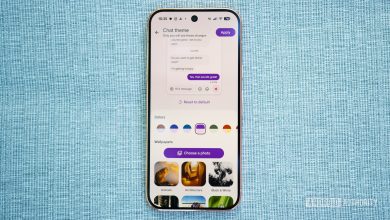 Giao diện tính năng Chat Themes trong ứng dụng Google Messages
