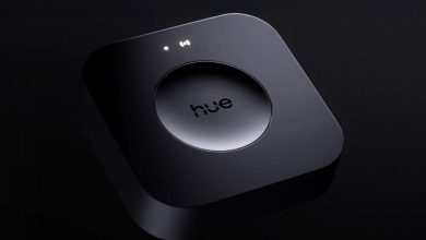 Philips Hue Bridge Pro