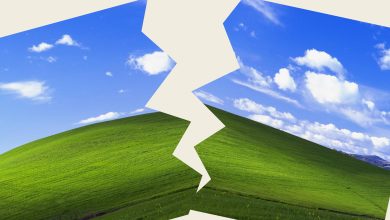 Hình nền Windows XP biểu trưng cho hệ điều hành