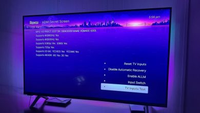 Giao diện màn hình bí mật Secret Screen 1 trên thiết bị Roku