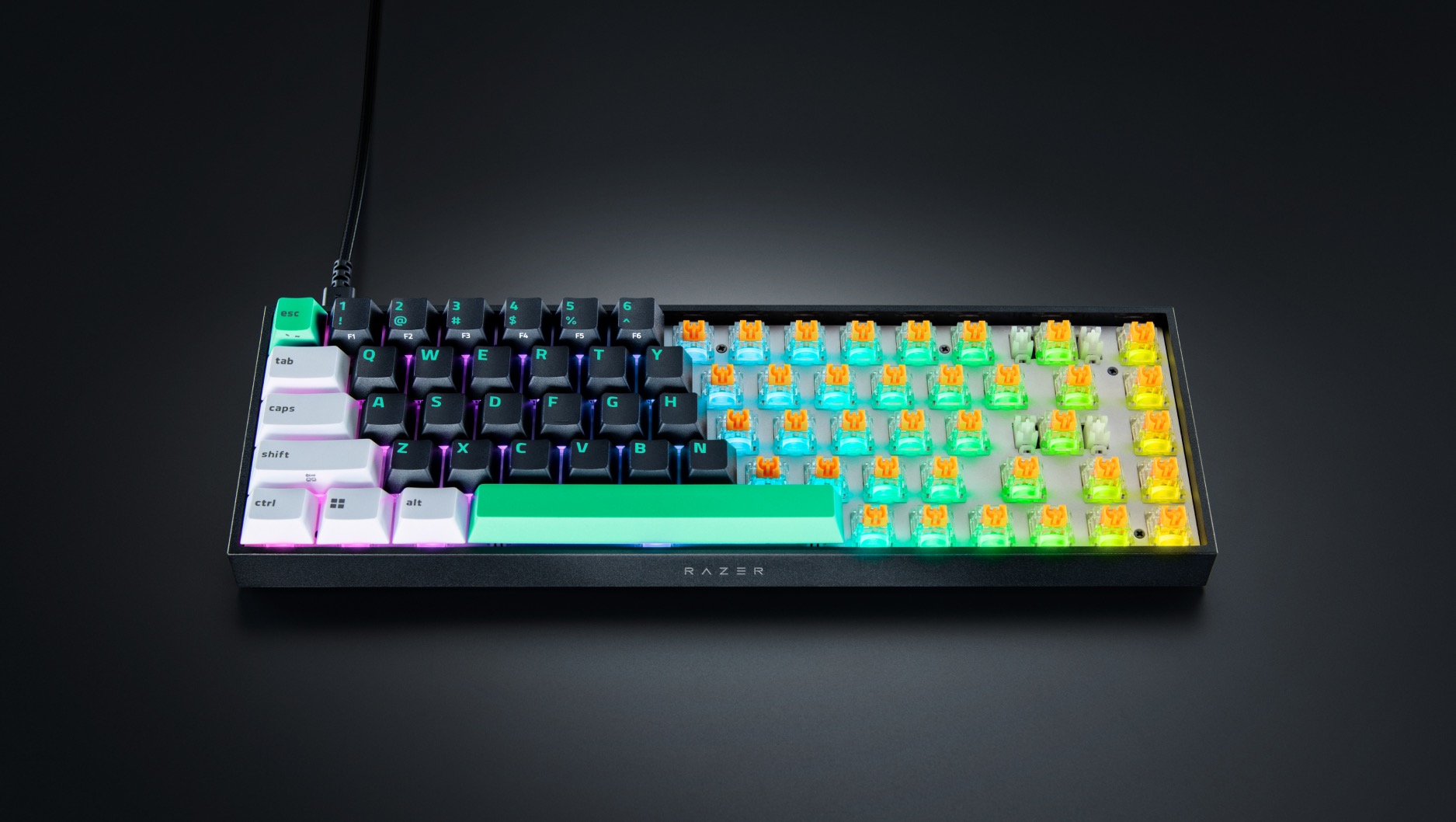 Razer Reclusa X Mini 65% tổng quan