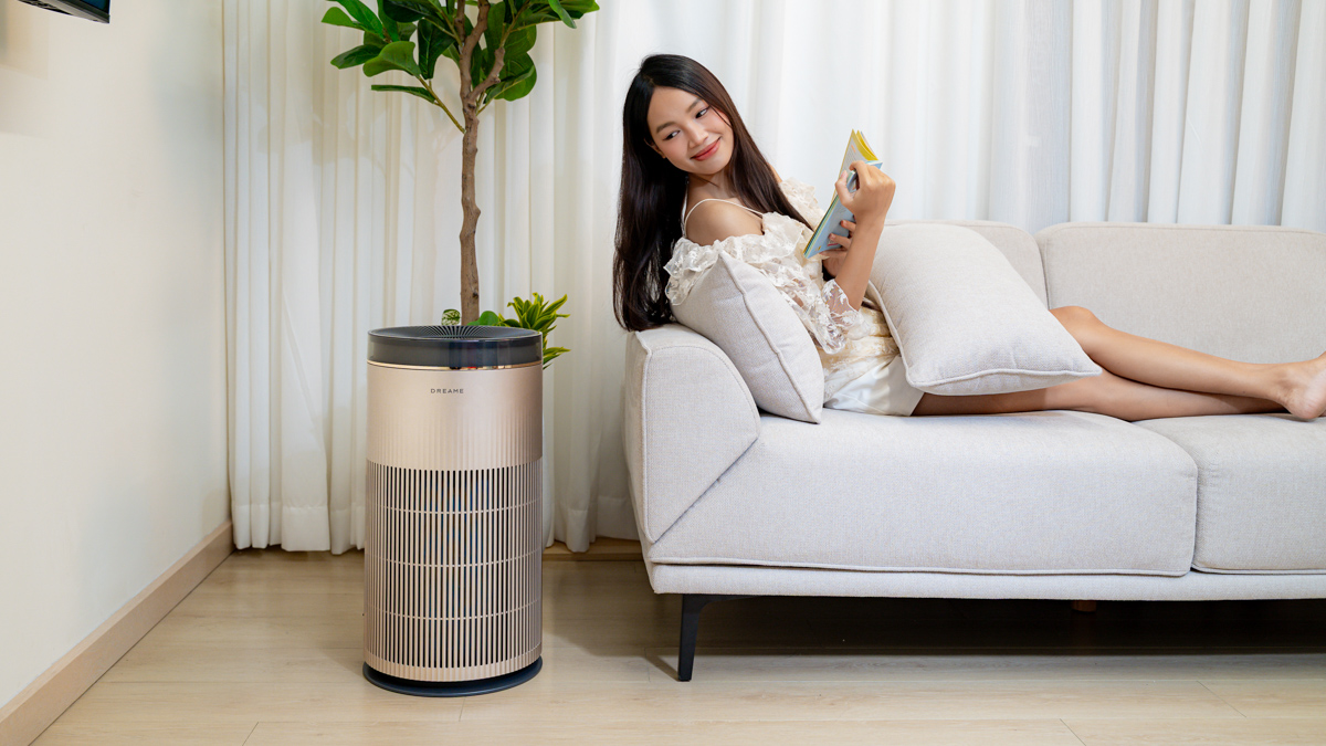 Toàn cảnh máy lọc không khí Dreame TP20