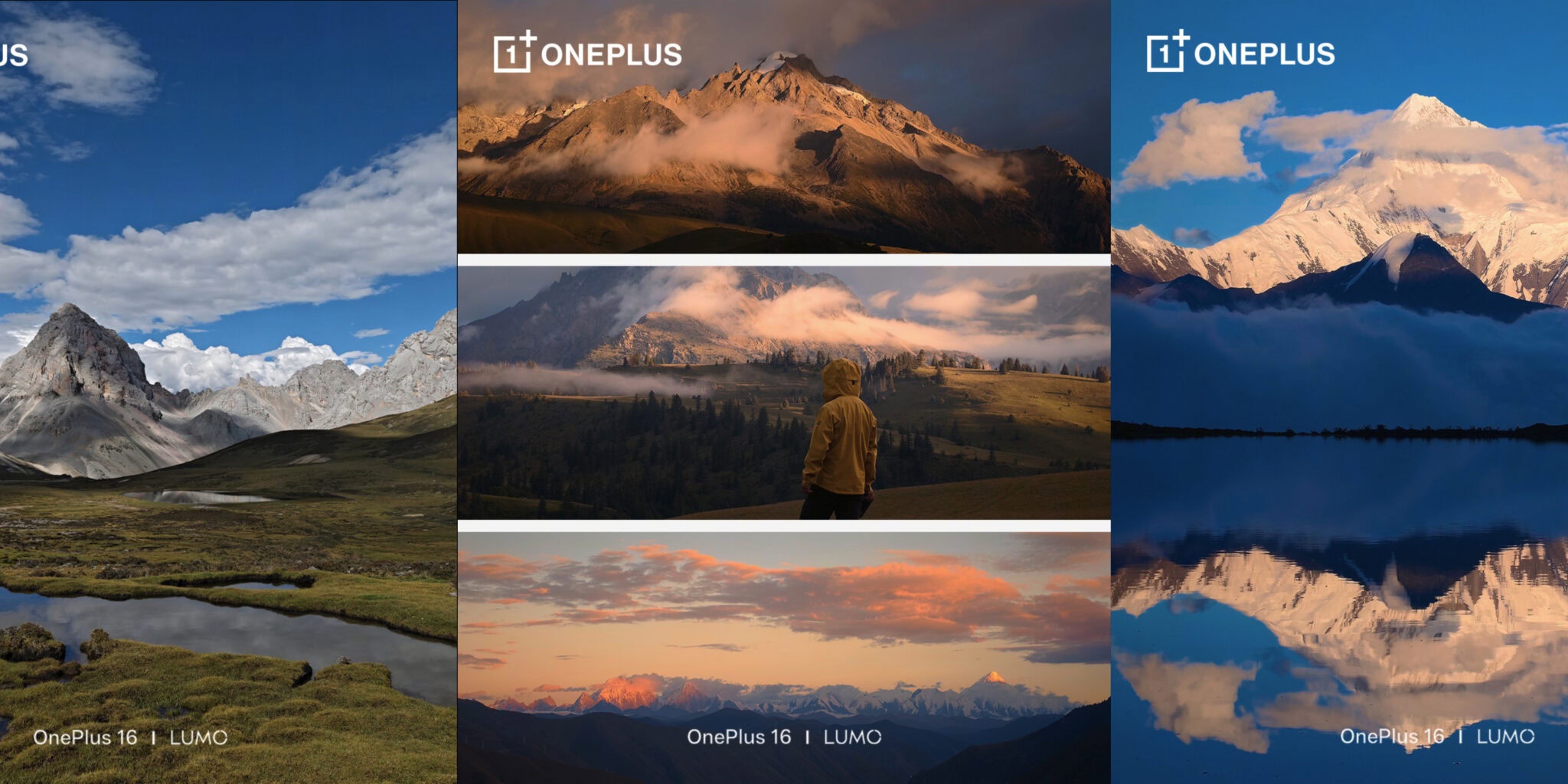 Ảnh chụp mẫu từ camera OnePlus 16