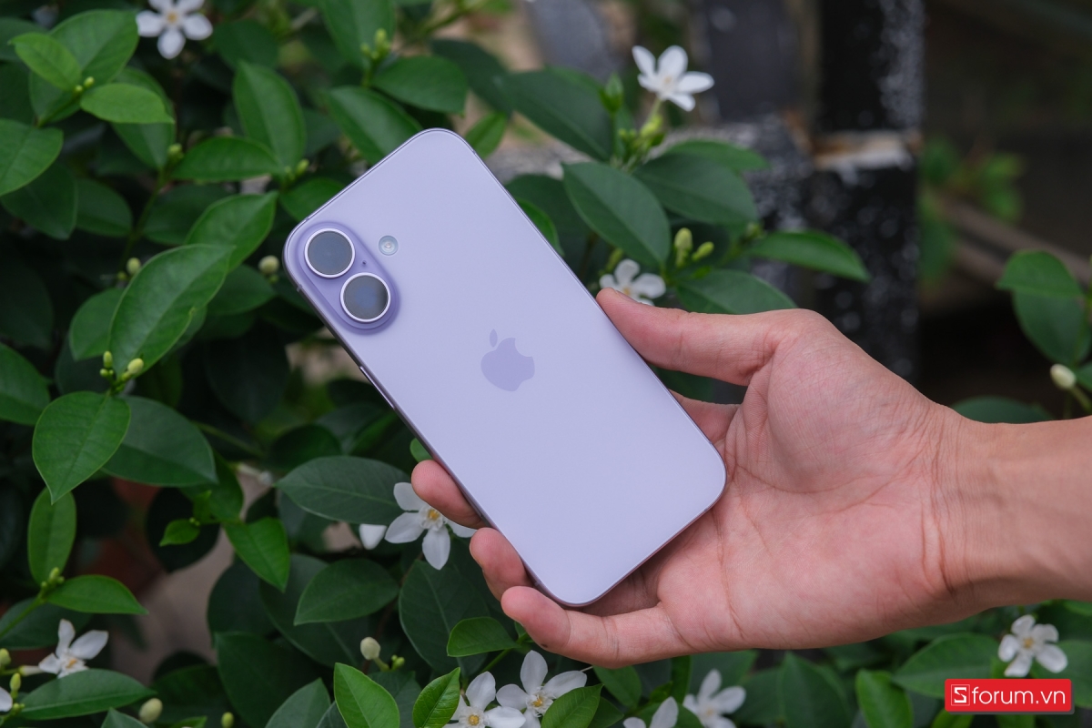 iPhone 17 tiêu chuẩn màn hình 120Hz ProMotion