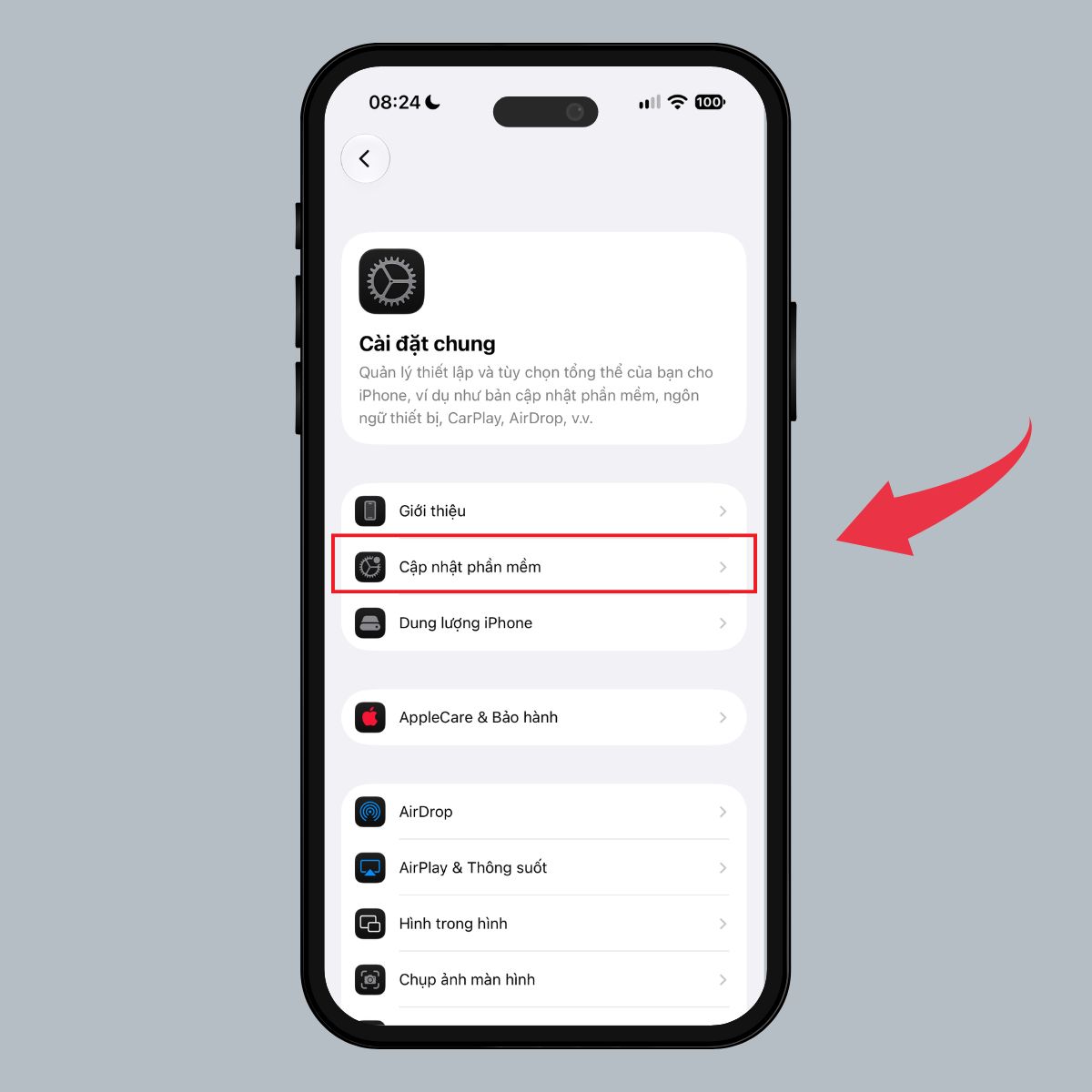 Màn hình Cập nhật phần mềm trên iOS