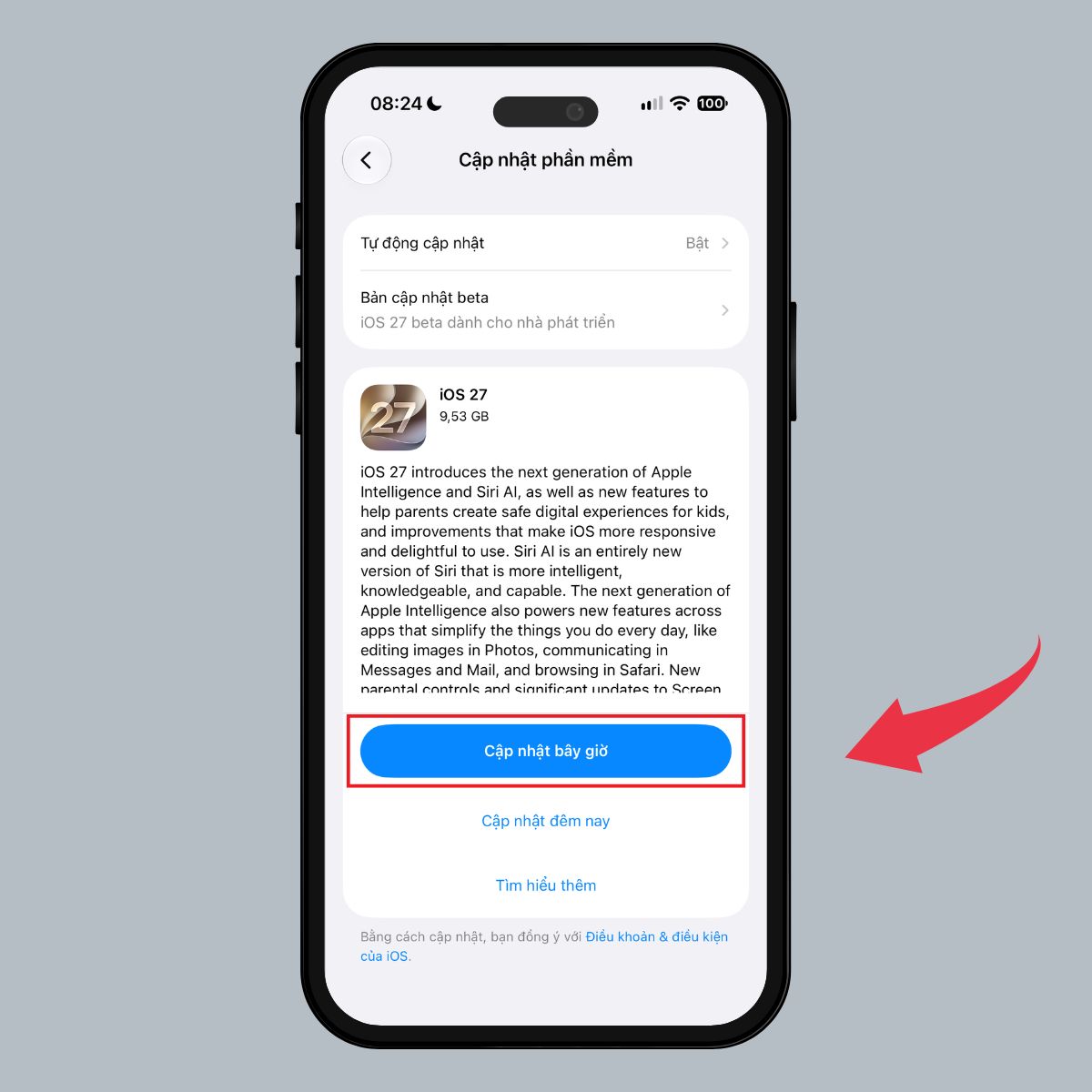 Giao diện Cập nhật bây giờ trên iPhone