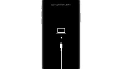 Màn hình Recovery Mode trên iPhone kết nối với máy tính