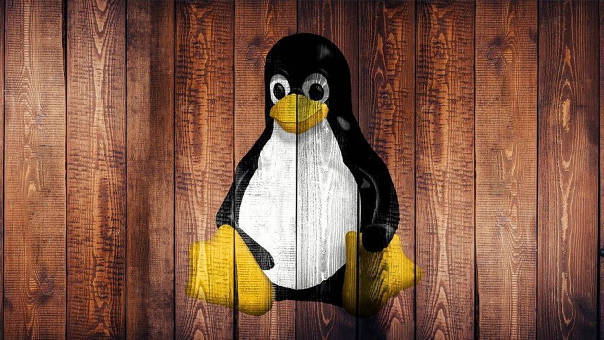Hình minh họa cho bài viết nhìn lại 35 năm phát triển của Linux.