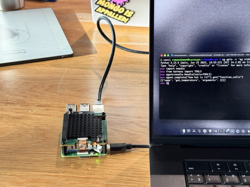 Bộ thử nghiệm Needle 2 trên Raspberry Pi — Nguồn: Raspberry Pi