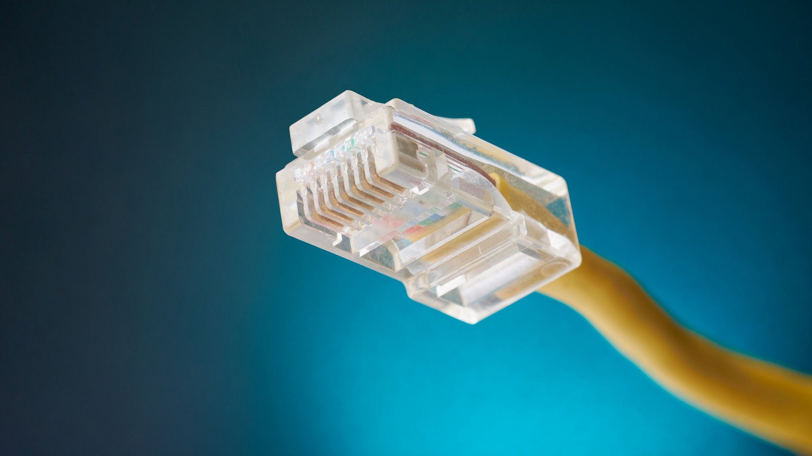 Cận cảnh đầu cắm RJ45 trong suốt trên cáp Ethernet màu vàng.