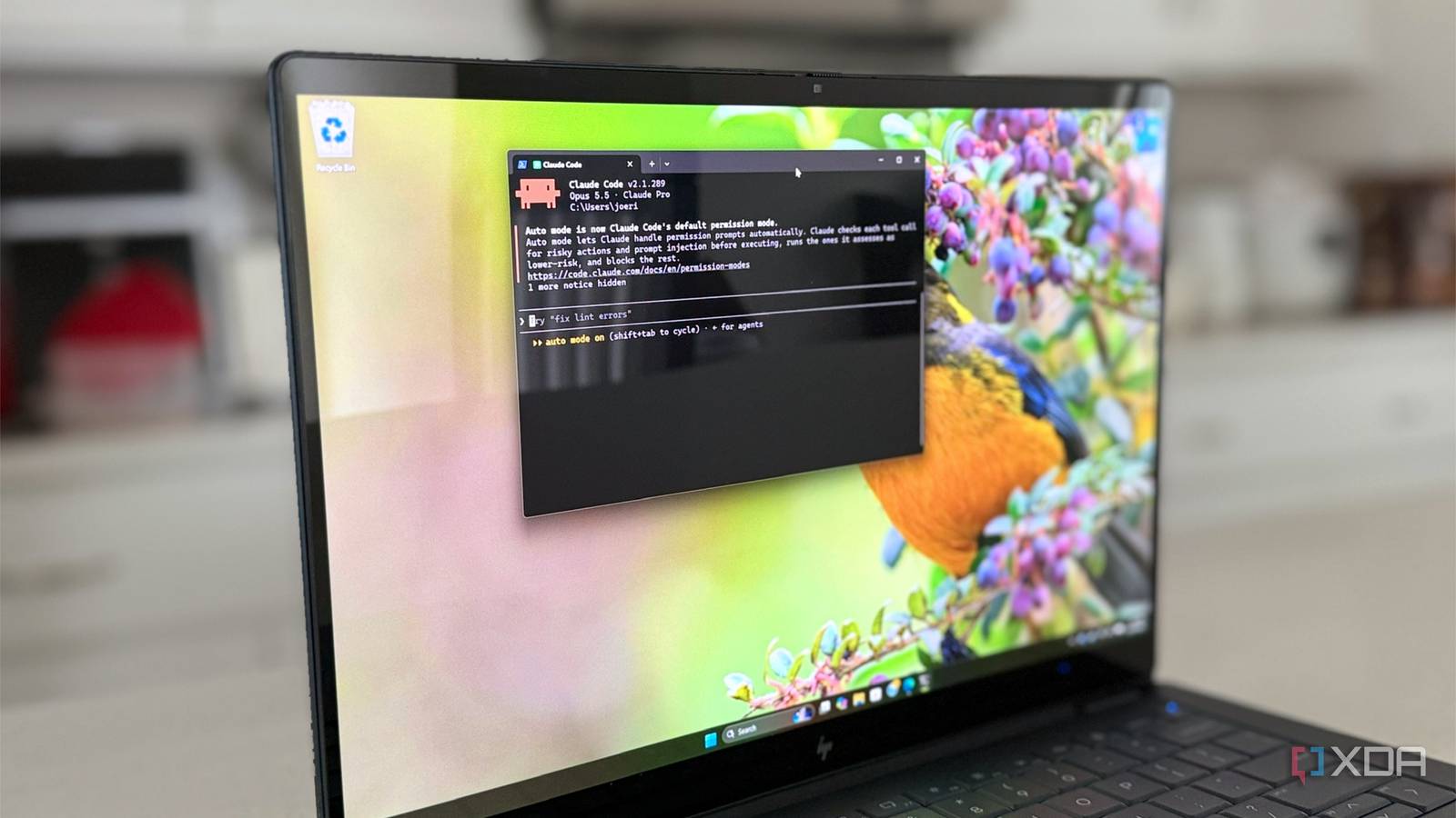 Claude Code chạy trên laptop Windows