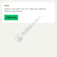 Danh sách Downloaded resources trong Snapseed với hai tùy chọn Depth mode và Erase