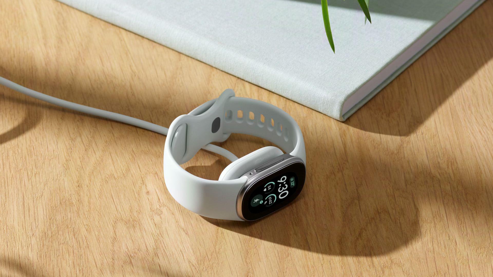 Đế sạc nam châm của Fitbit Edge