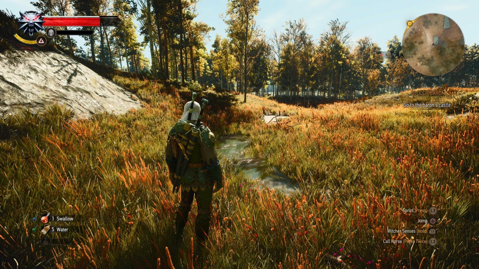 Geralt giữa cánh đồng trong The Witcher 3