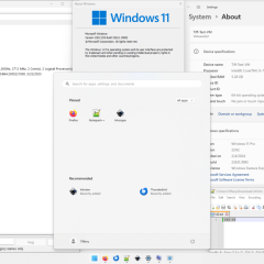 Giao diện Windows 11 và thông tin phiên bản hệ điều hành
