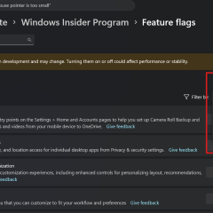 Giao diện Windows Insider Program với bộ lọc feature flags