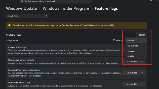 Giao diện Windows Insider Program với bộ lọc feature flags