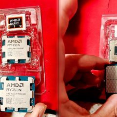 Hai CPU Ryzen 9 9950X3D2 trong khay; bên phải là mặt dưới của chip bị nghi tráo đế.