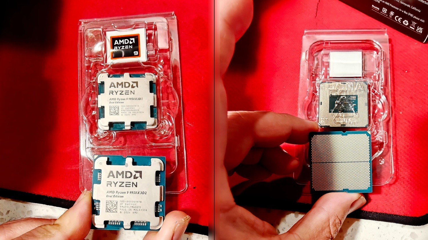 Hai CPU Ryzen 9 9950X3D2 trong khay; bên phải là mặt dưới của chip bị nghi tráo đế.