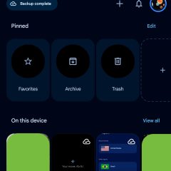 Hàng Pinned trong Google Photos với Favorites, Archive và Trash