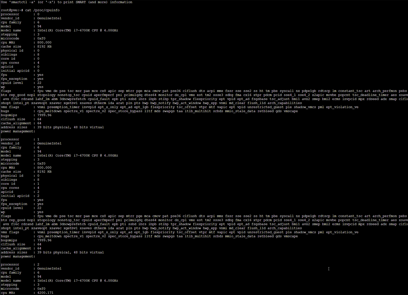 Kết quả cat /proc/cpuinfo trong terminal Linux