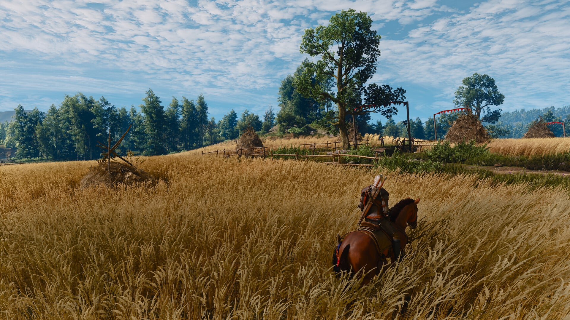 Khung cảnh đồng cỏ trong The Witcher 3 Remastered