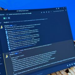 llm local through discord