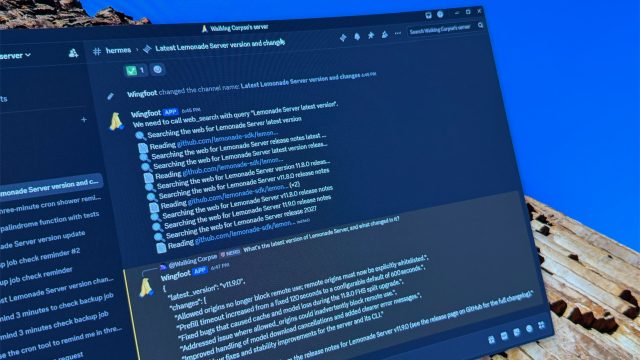 llm local through discord