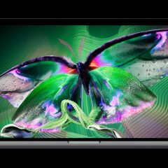 MacBook Pro PROLED XDR hiển thị hình bướm.