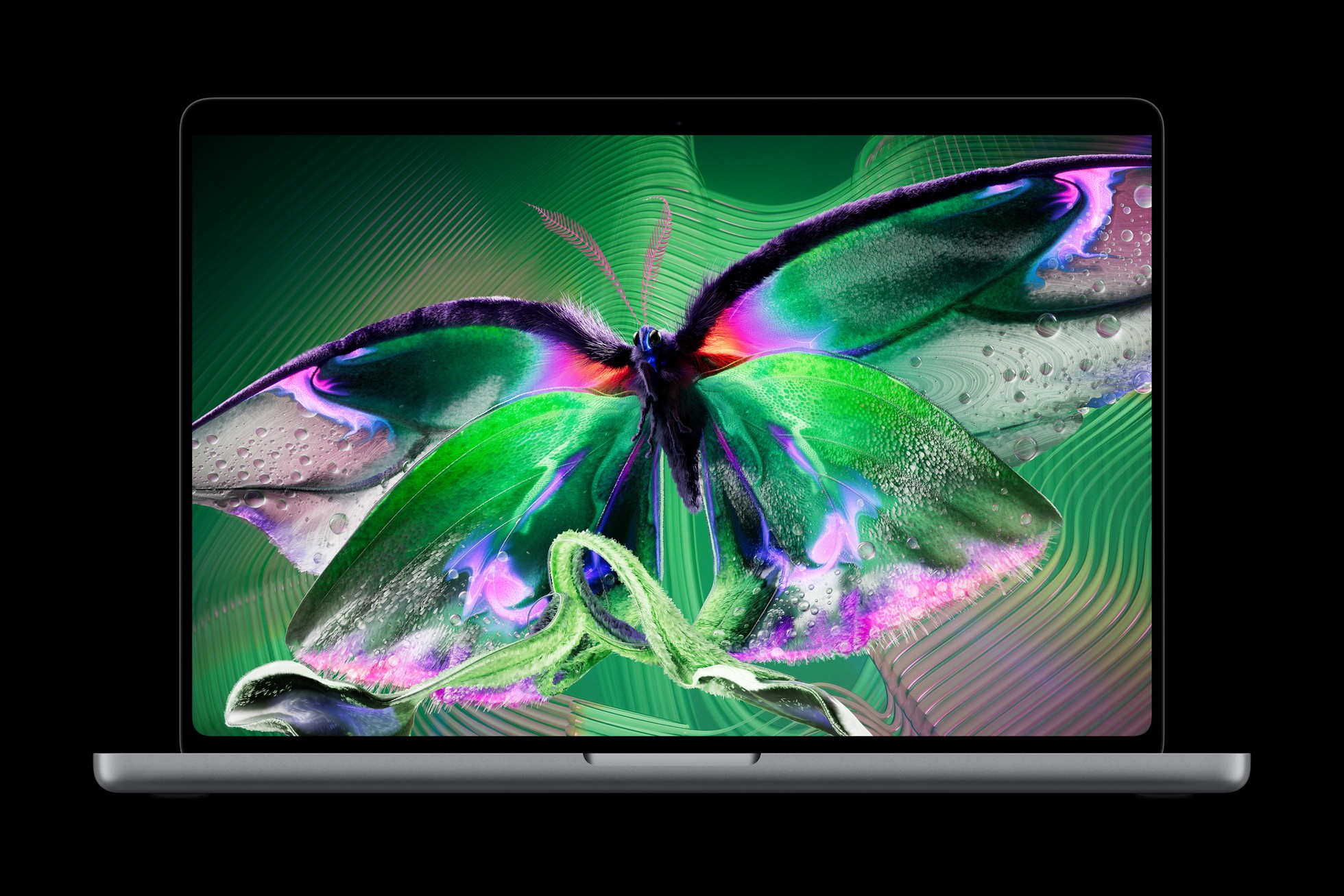 MacBook Pro PROLED XDR hiển thị hình bướm.